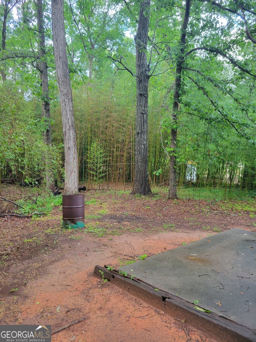 106 Garden Trail Stockbridge - 4