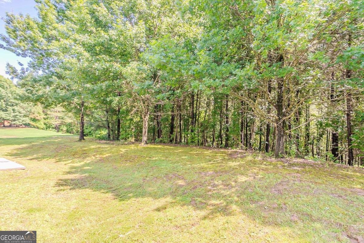 4938 Wewatta Street Atlanta - 46