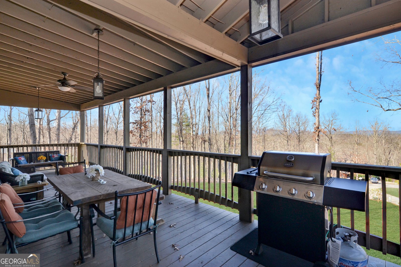 196 Grayson Point Blue Ridge - 27