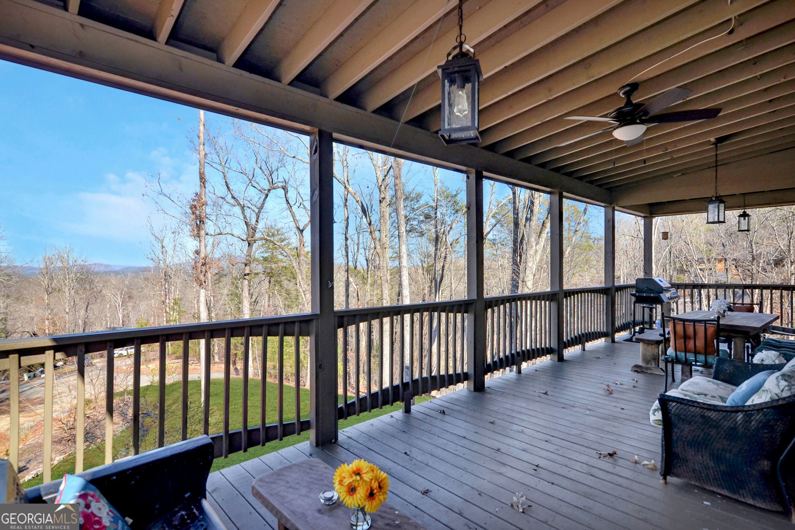196 Grayson Point Blue Ridge - 29