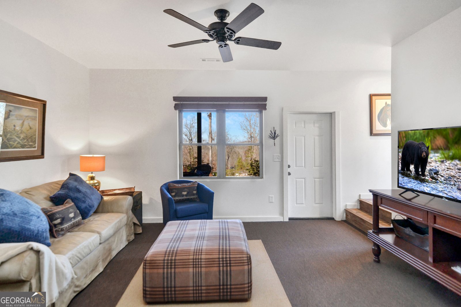 196 Grayson Point Blue Ridge - 34