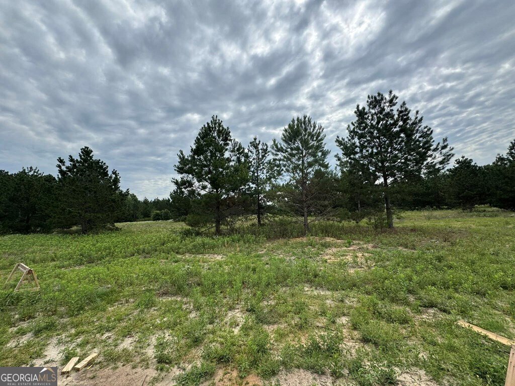120 Lord Hatcher Drive Dexter - 19