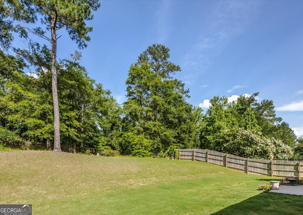 161 Presidents Way Forsyth - 22