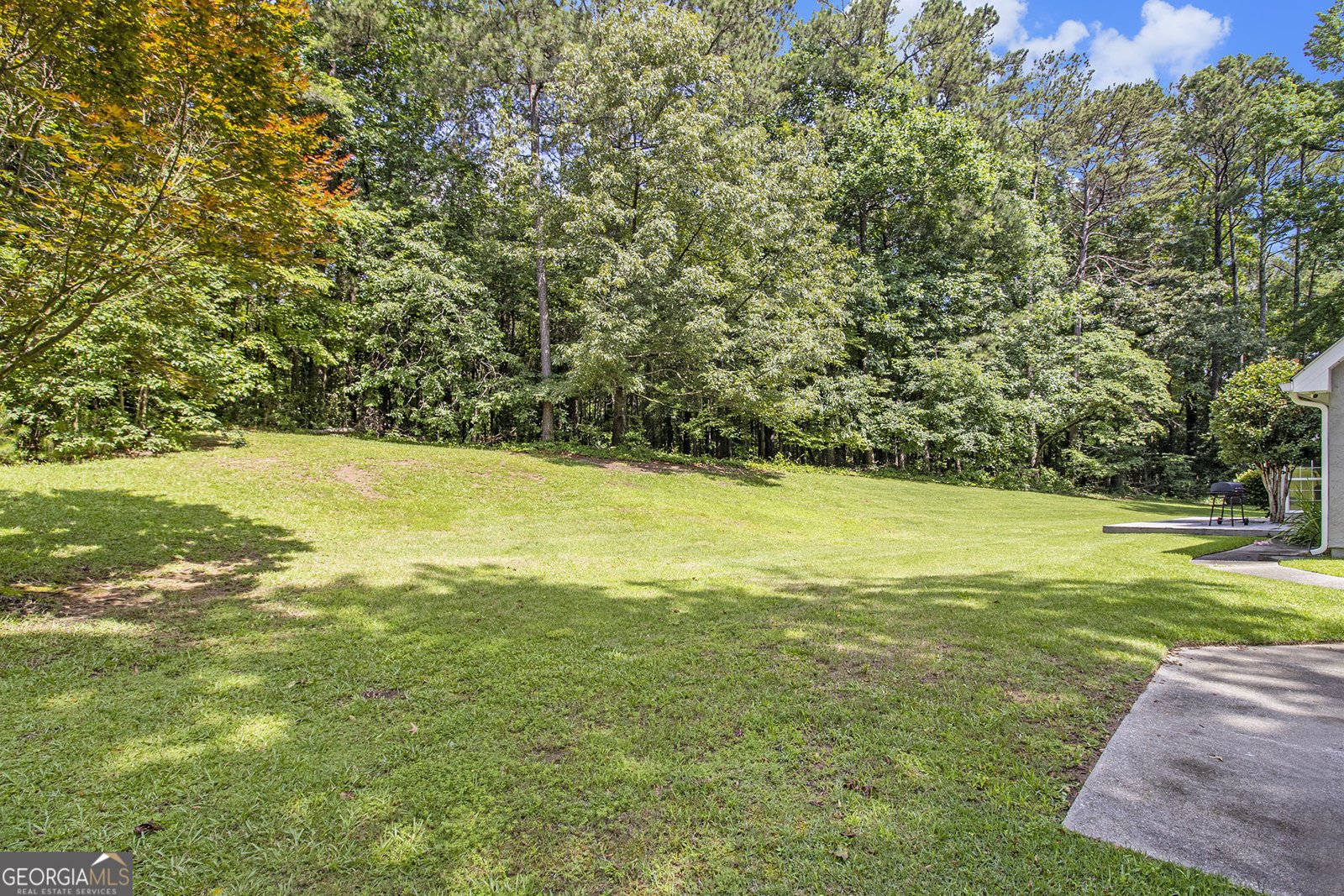 345 Kerrith Drive Stockbridge - 10