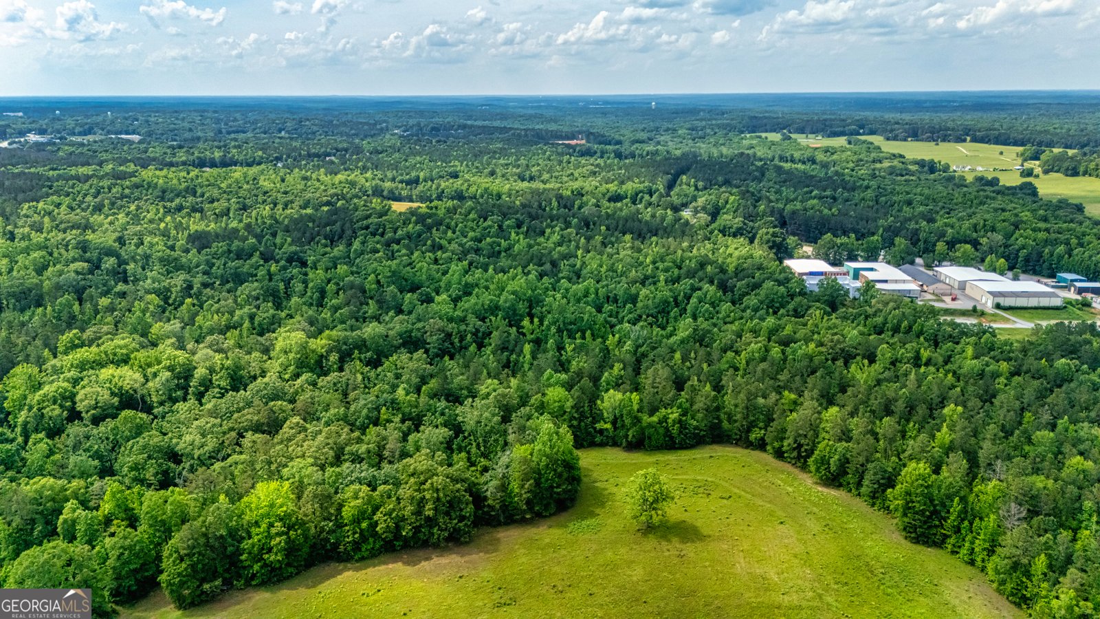 417 Chestlehurst Road Senoia - 59