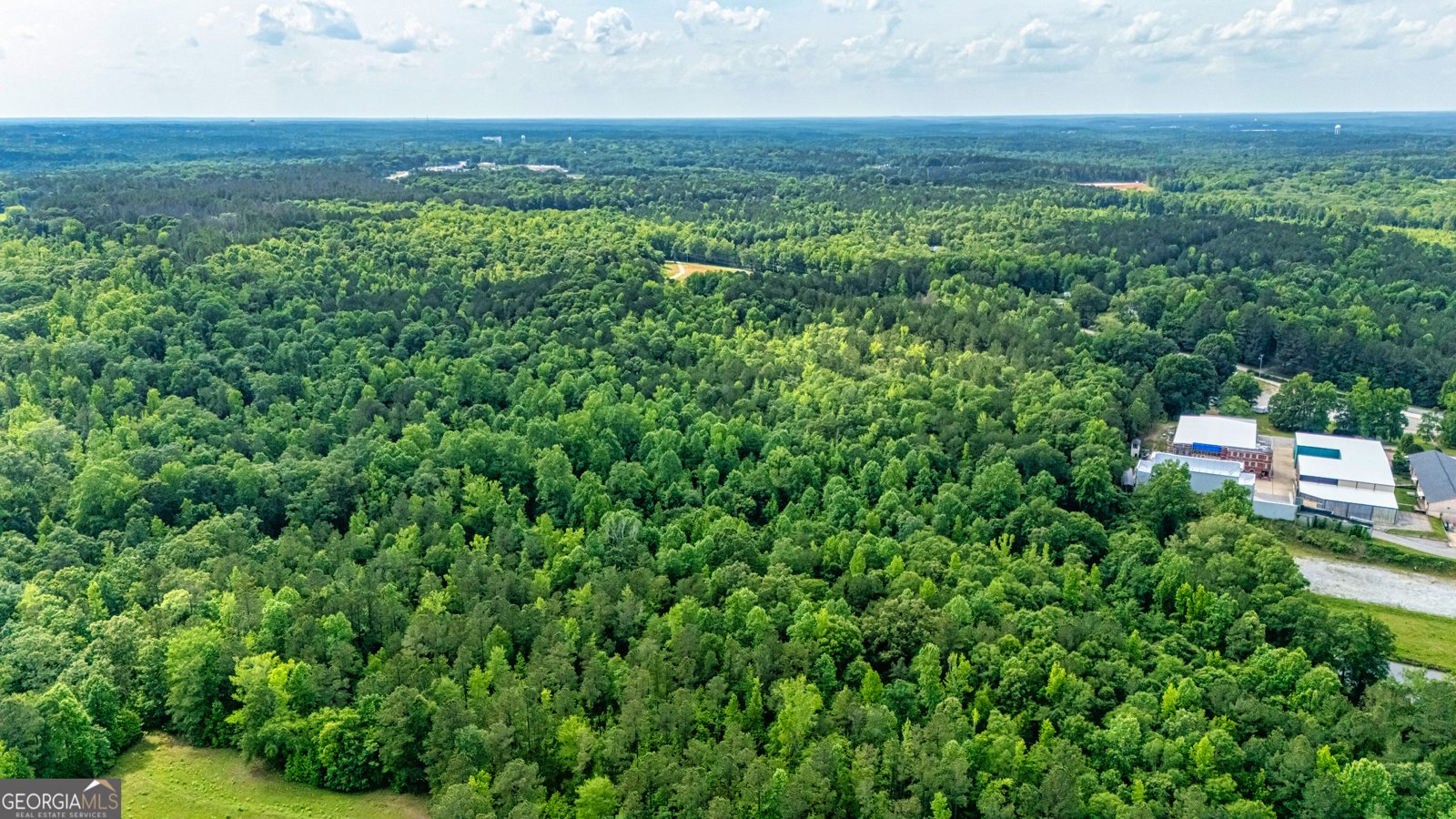 417 Chestlehurst Road Senoia - 71