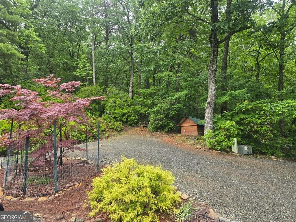 130 Owl Mountain Road Ellijay - 45