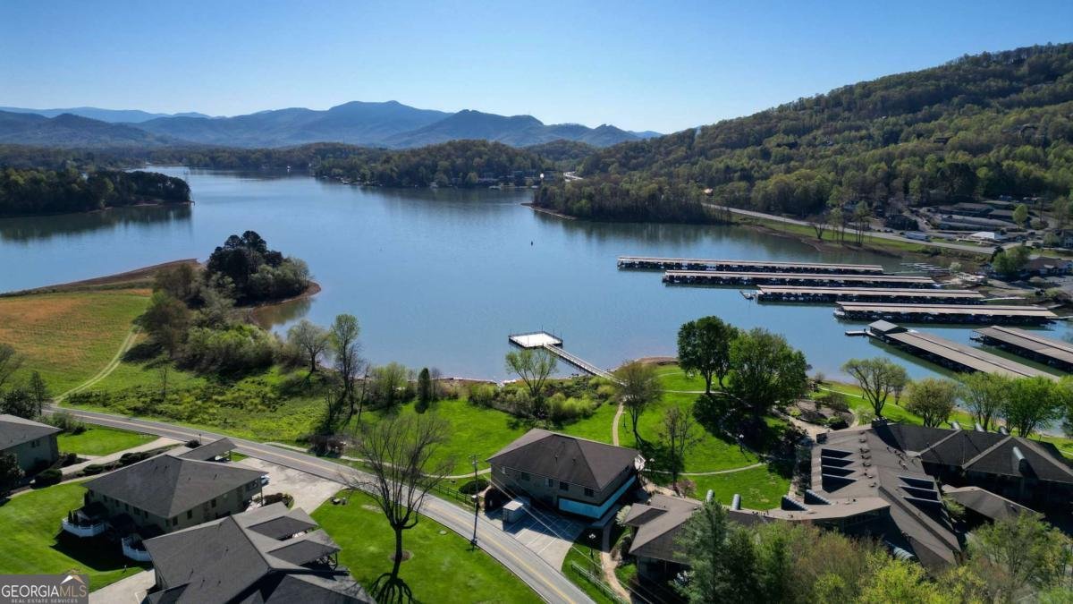 1688 Lakeview Drive 1A Young Harris - 1