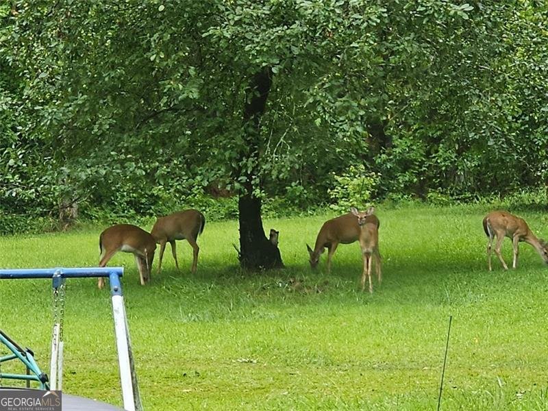 3096 CAMPGROUND Road Winston - 20