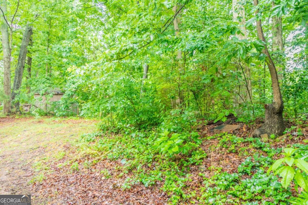 3440 Quinn Ridge Drive Snellville - 27