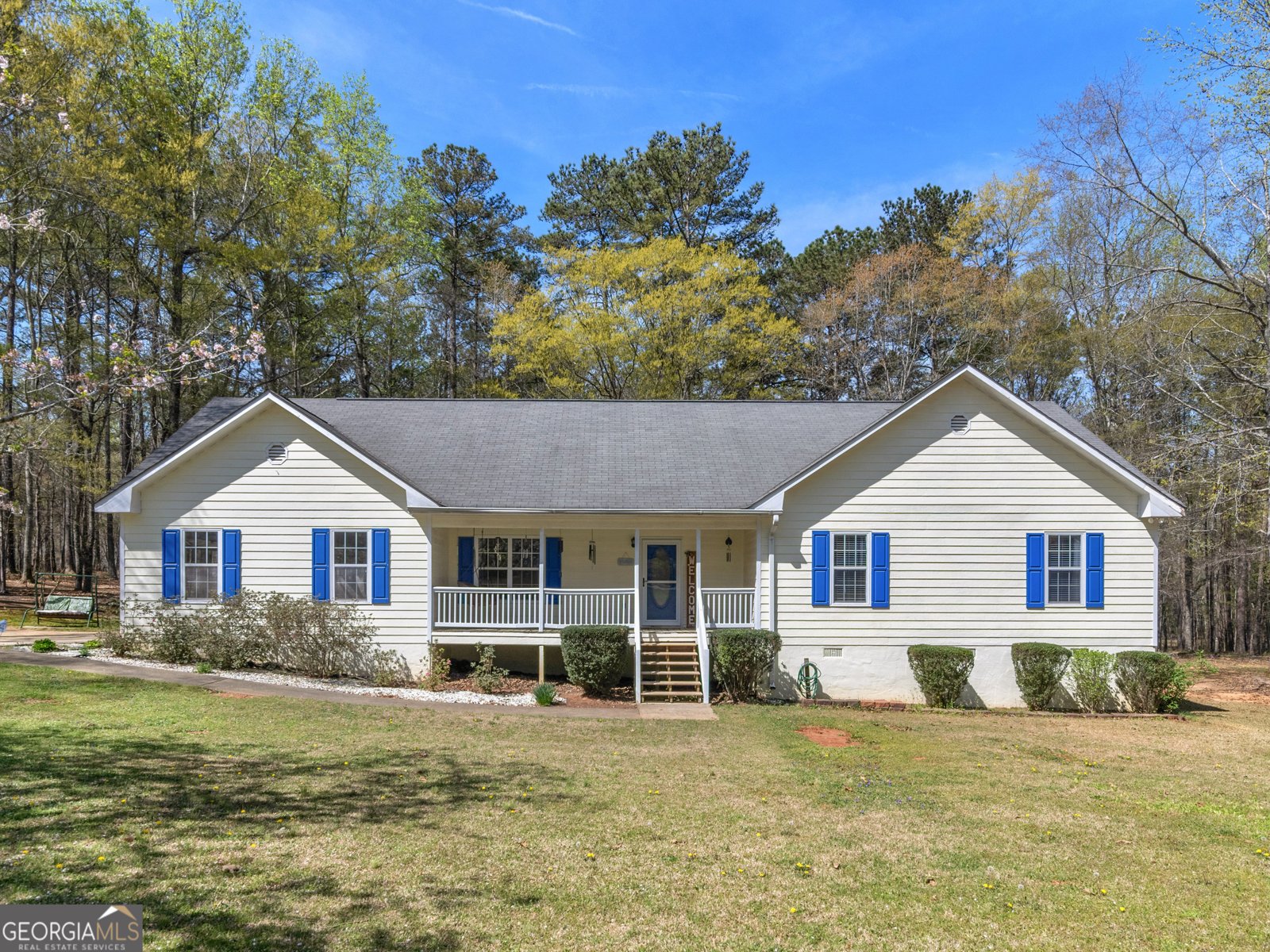 115 Christie Lane McDonough - 1