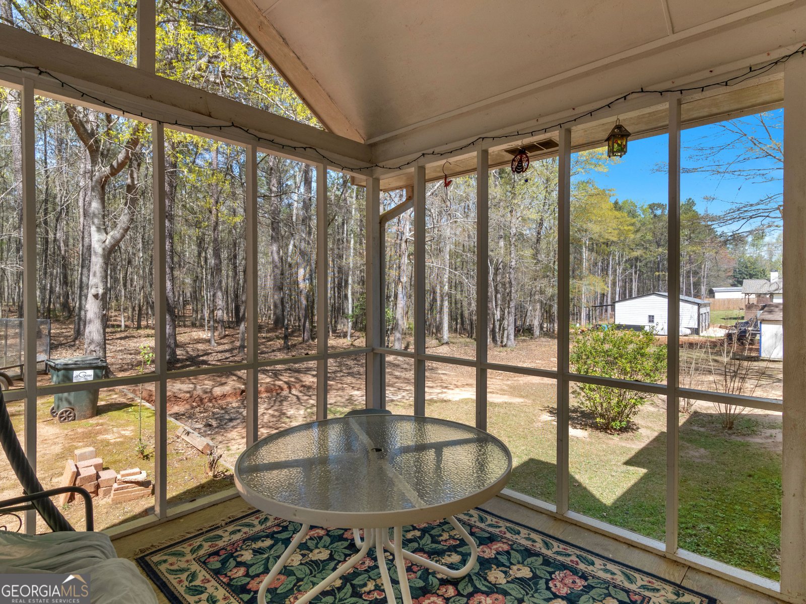115 Christie Lane McDonough - 11
