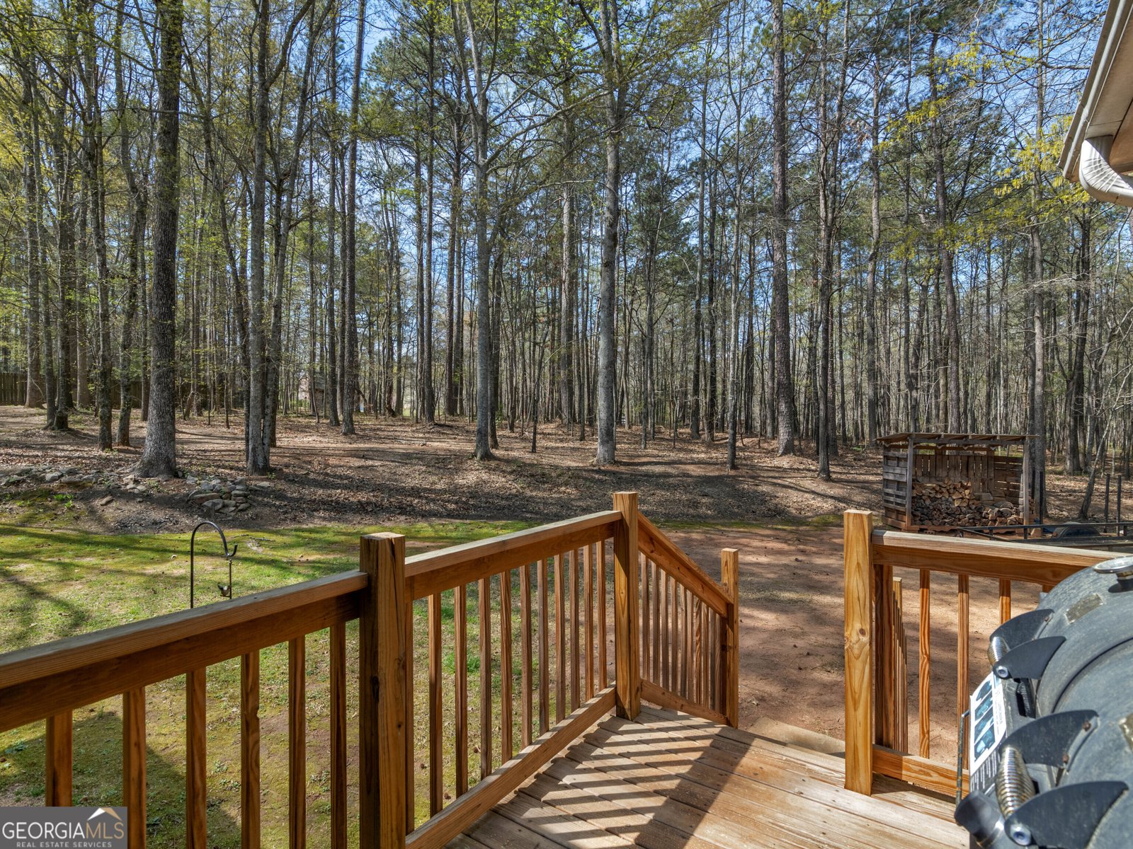 115 Christie Lane McDonough - 12