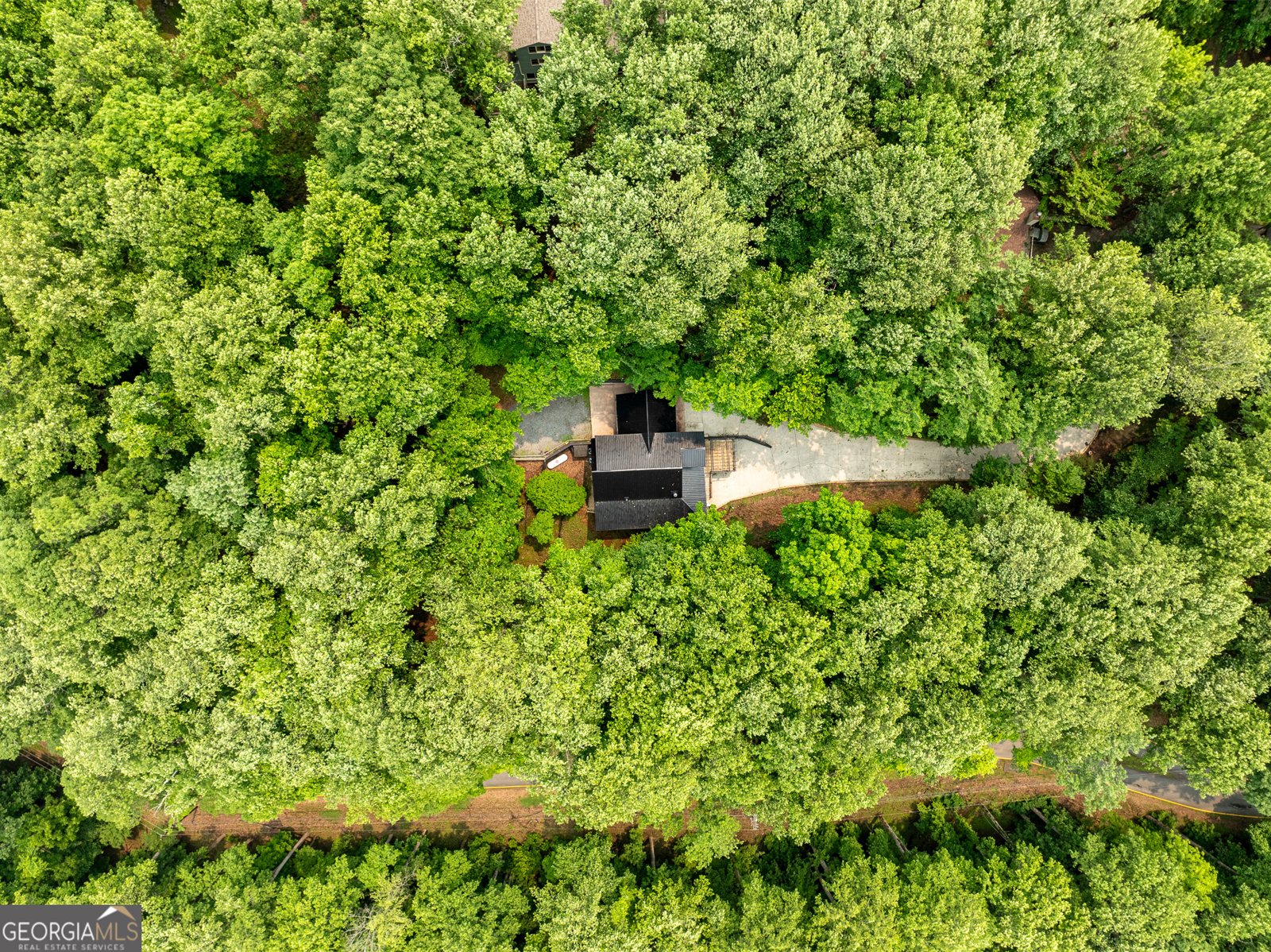 1315 Walnut Ridge Ellijay - 58