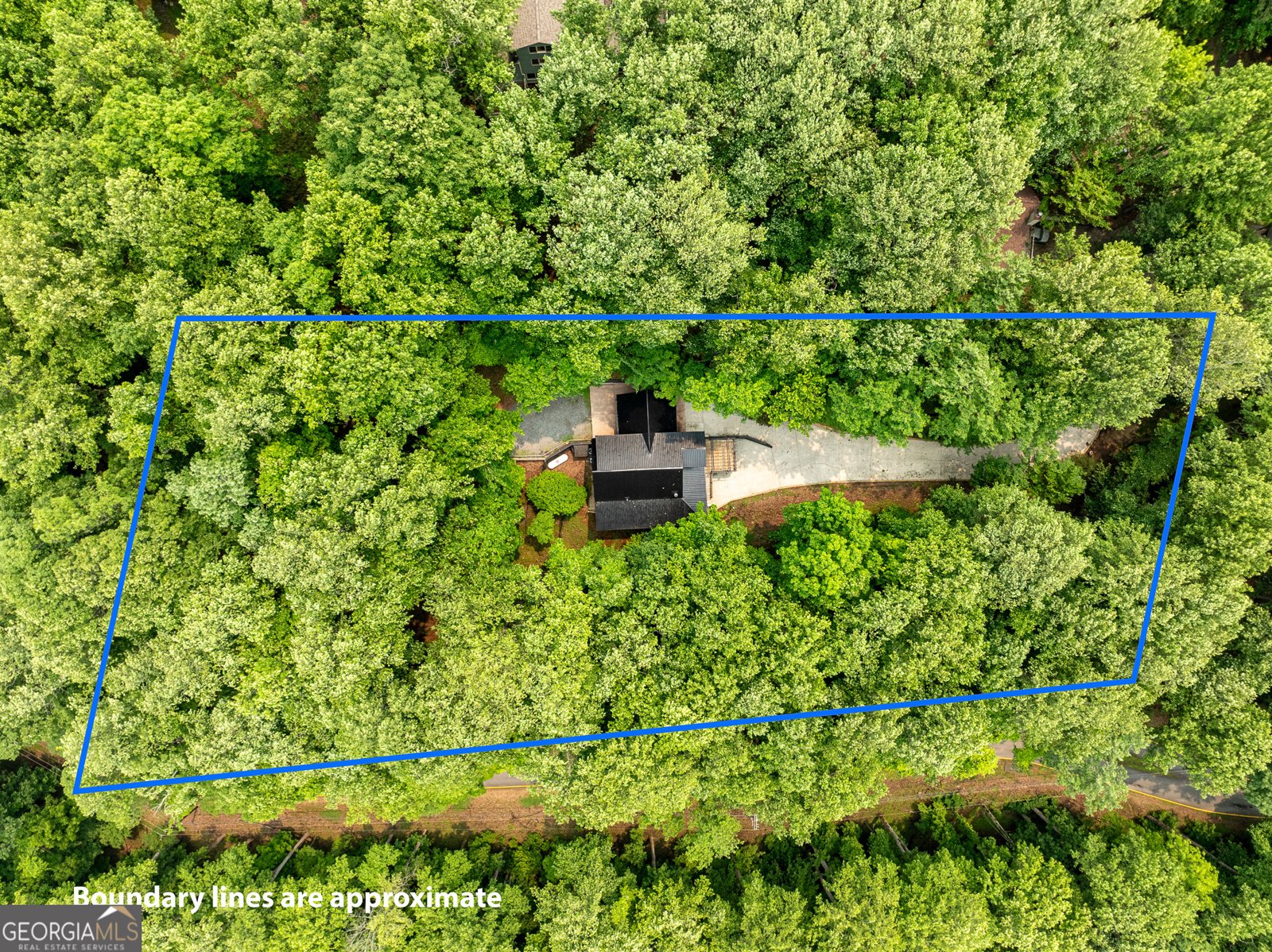 1315 Walnut Ridge Ellijay - 59