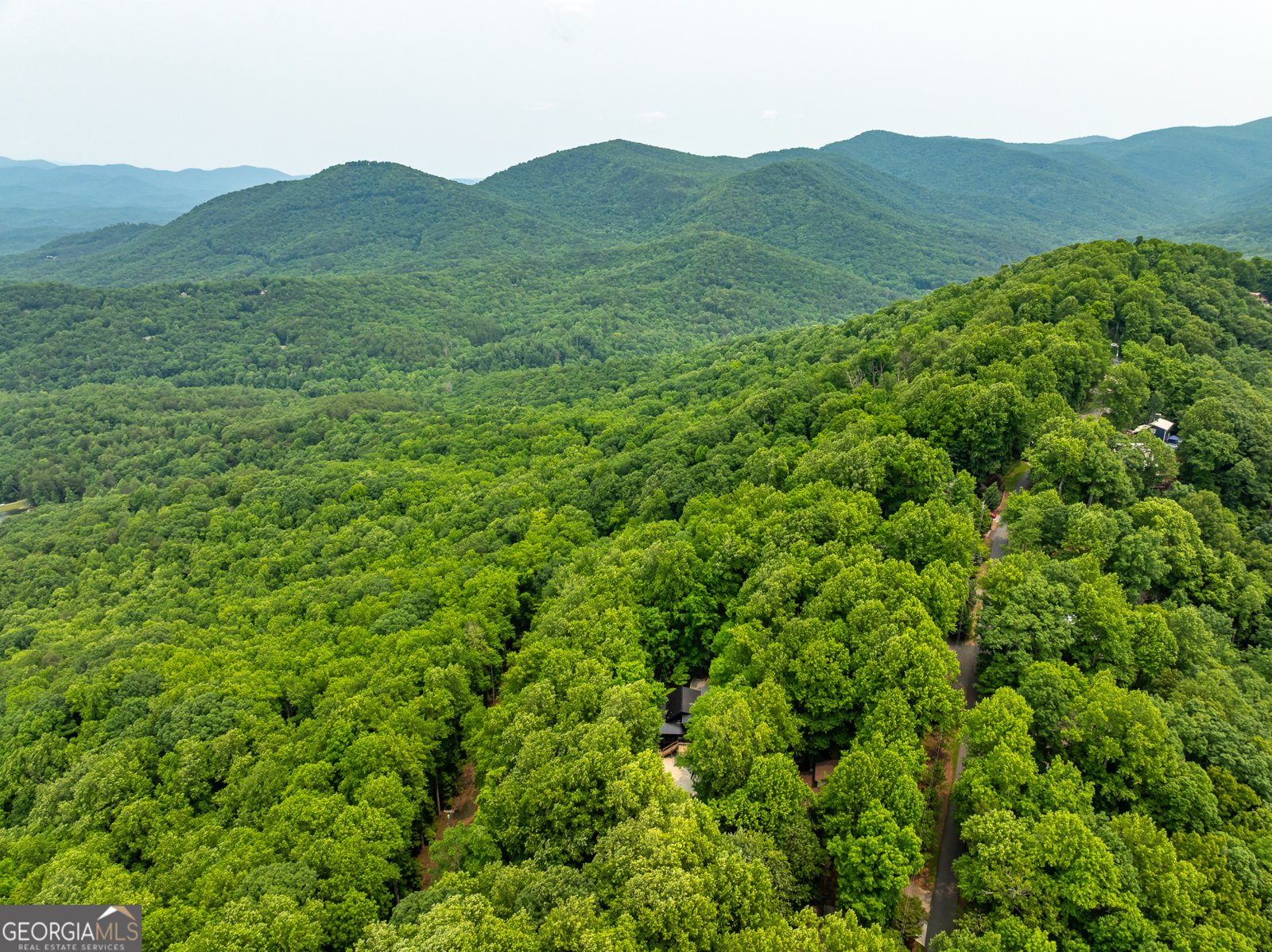 1315 Walnut Ridge Ellijay - 60