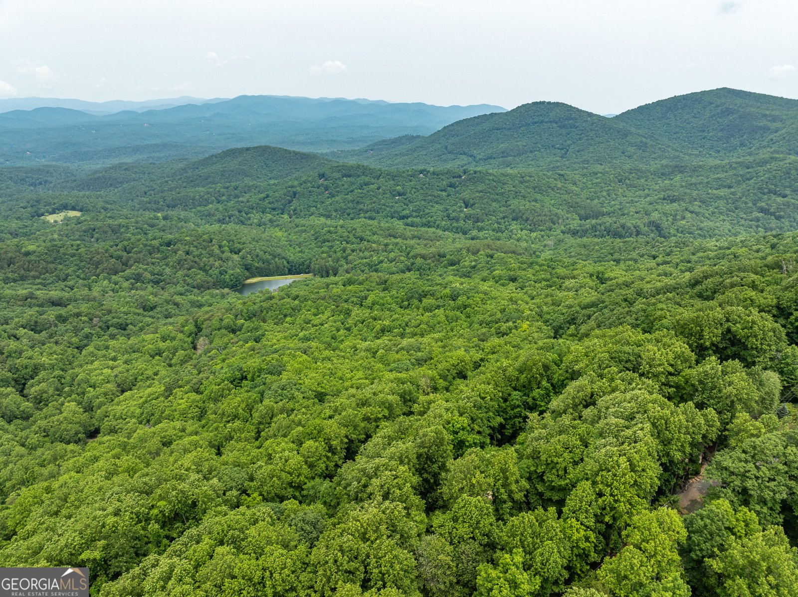 1315 Walnut Ridge Ellijay - 62