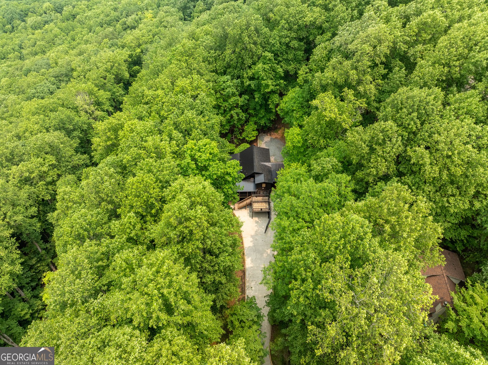1315 Walnut Ridge Ellijay - 63