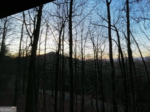 1315 Walnut Ridge Ellijay - 65