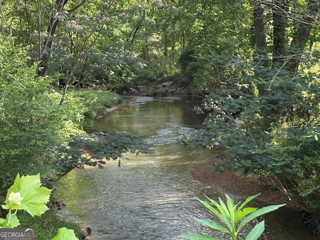 5827 Brasstown Creek Estate Young Harris - 49