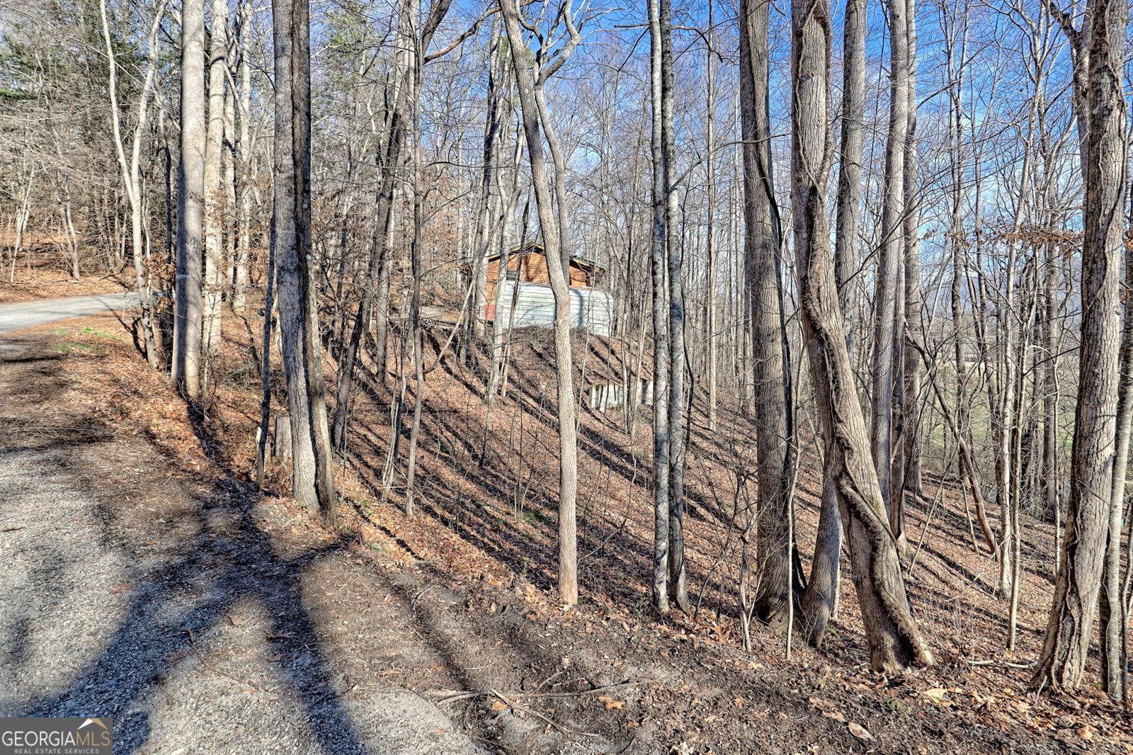 5827 Brasstown Creek Estate Young Harris - Photo 55