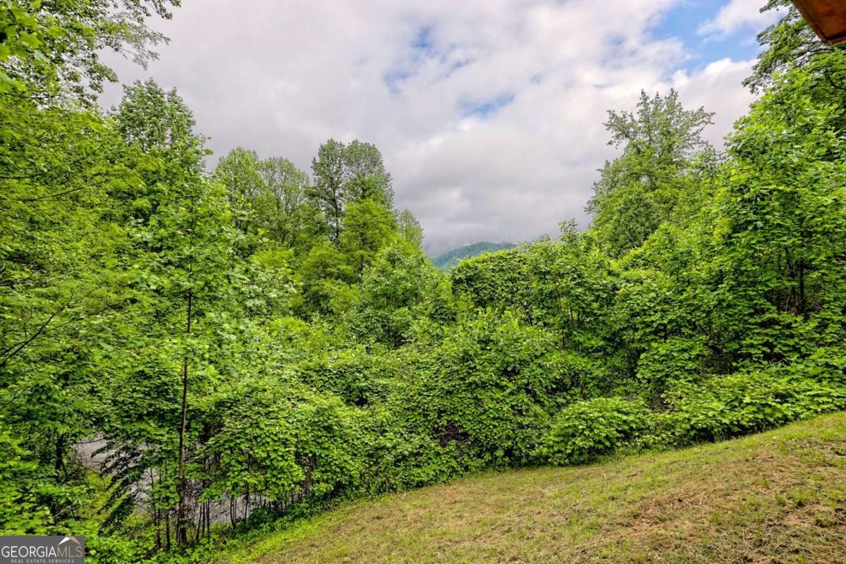 481 Georgianna Lane Bryson City - 13