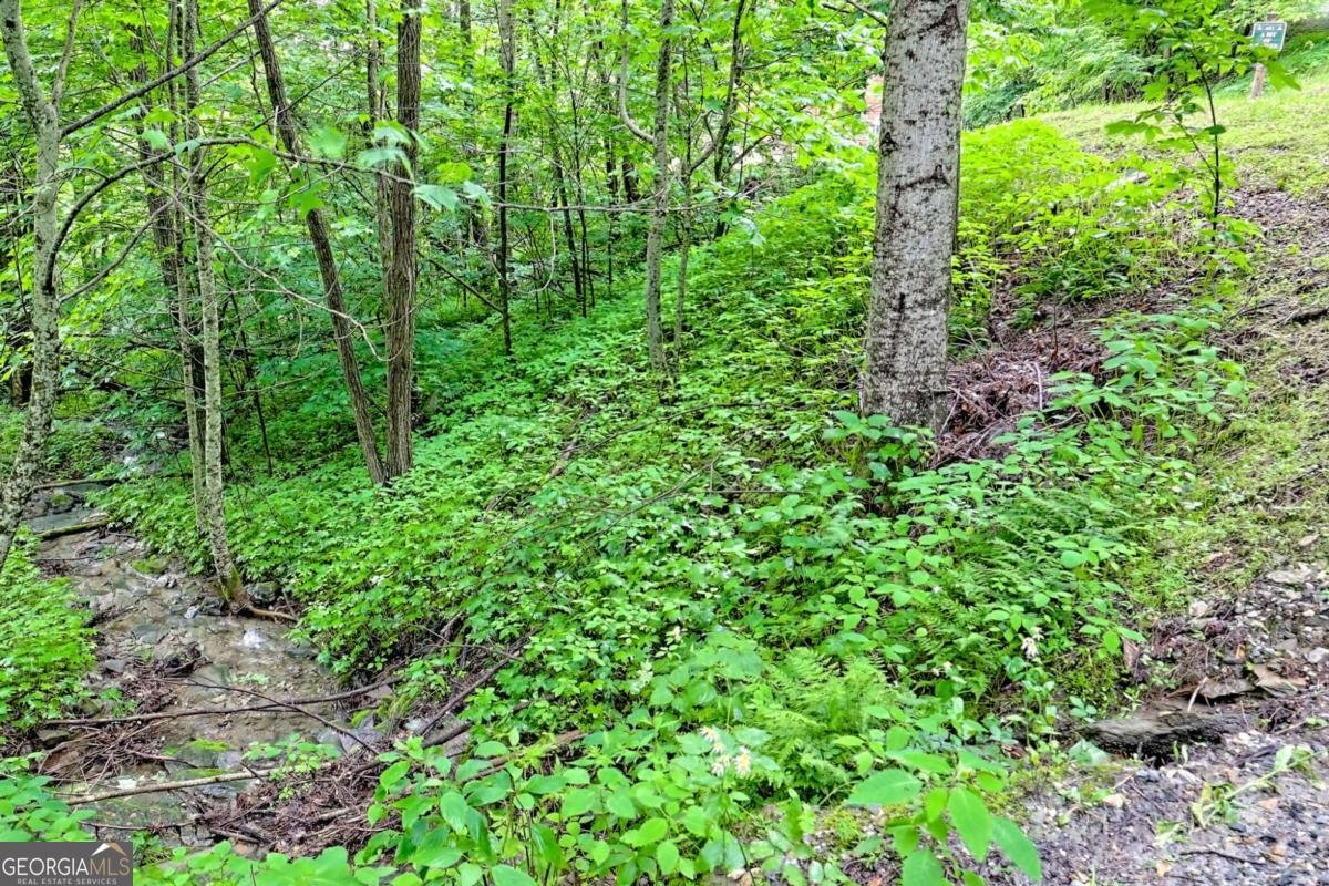 481 Georgianna Lane Bryson City - 33