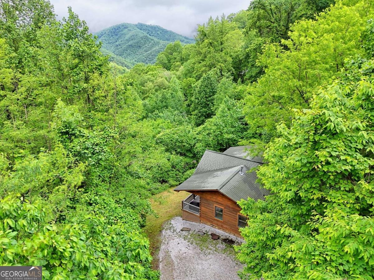 481 Georgianna Lane Bryson City - 36
