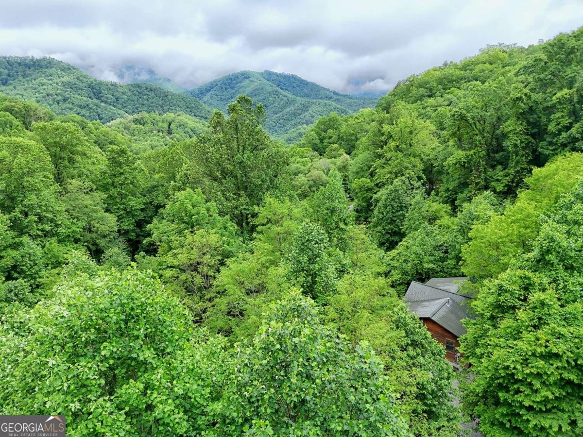 481 Georgianna Lane Bryson City - 37