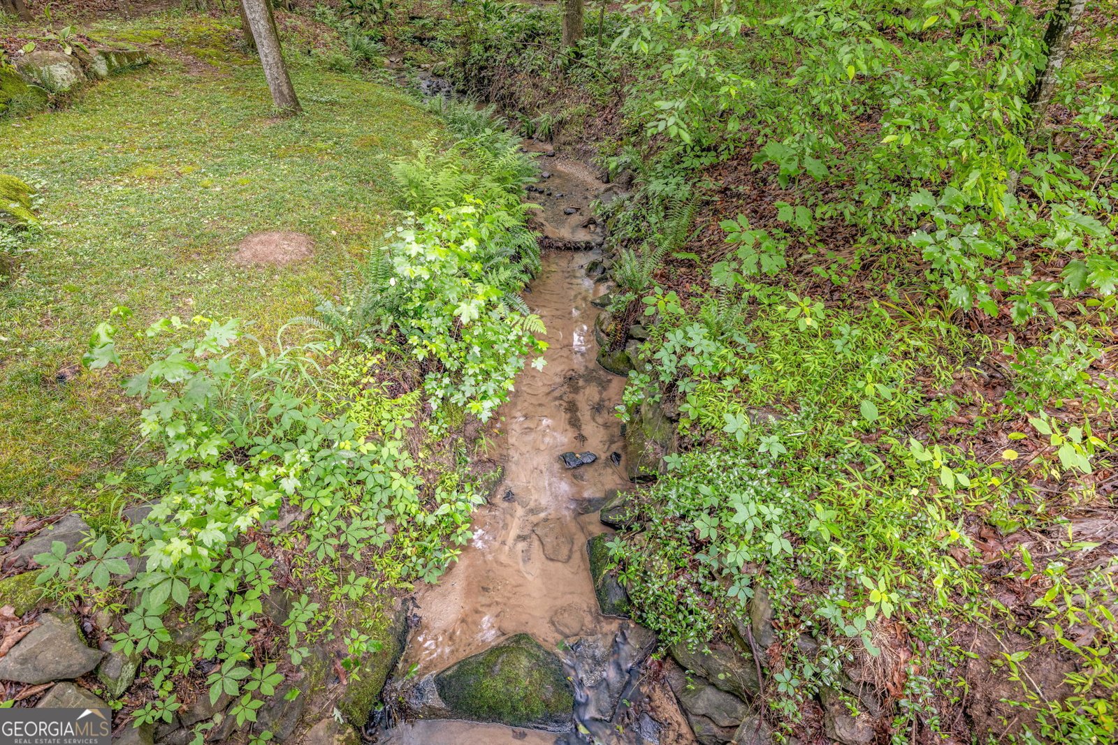 1526 Oakleaf Drive Auburn - 35