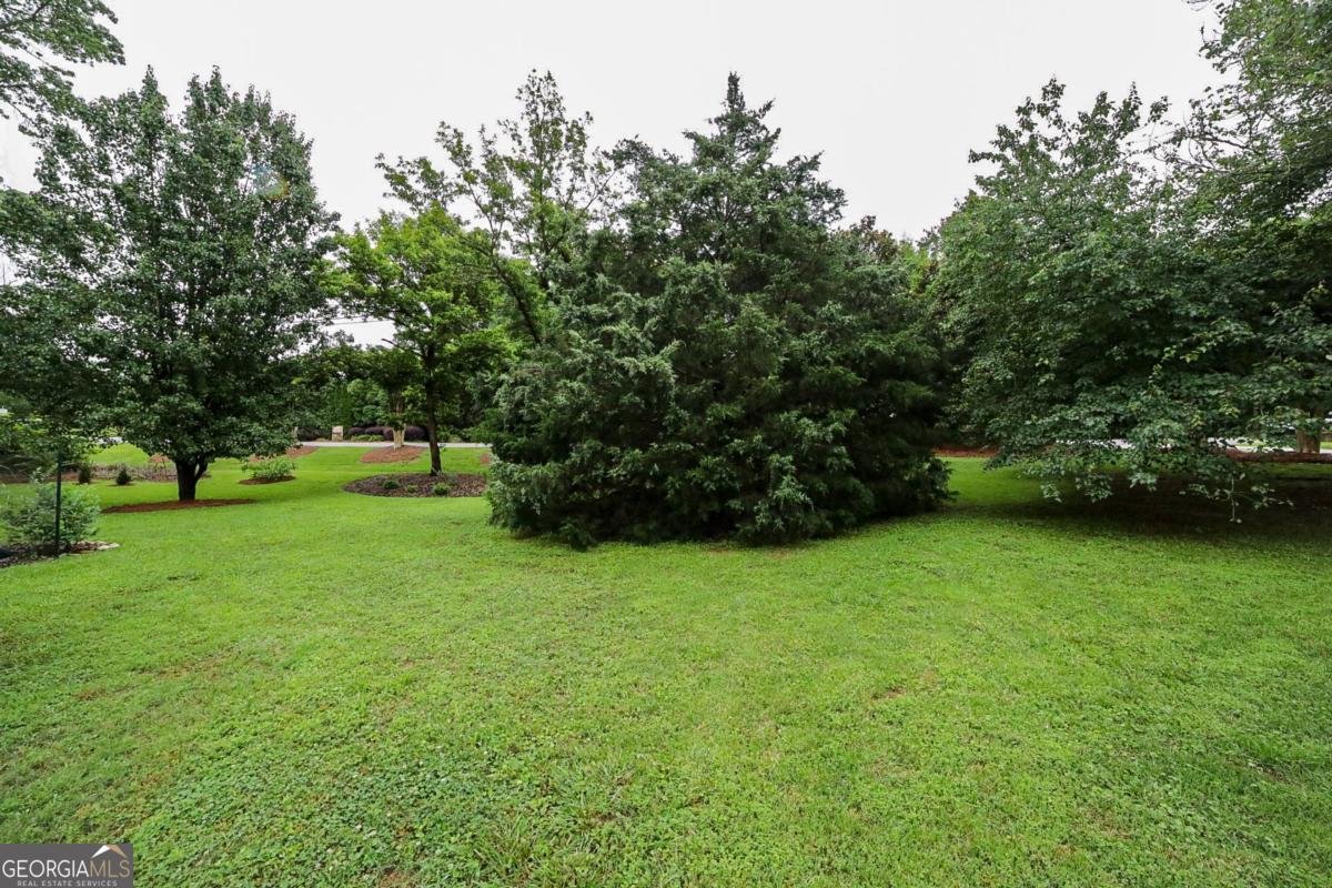 1010 Calls Creek Circle Watkinsville - 45
