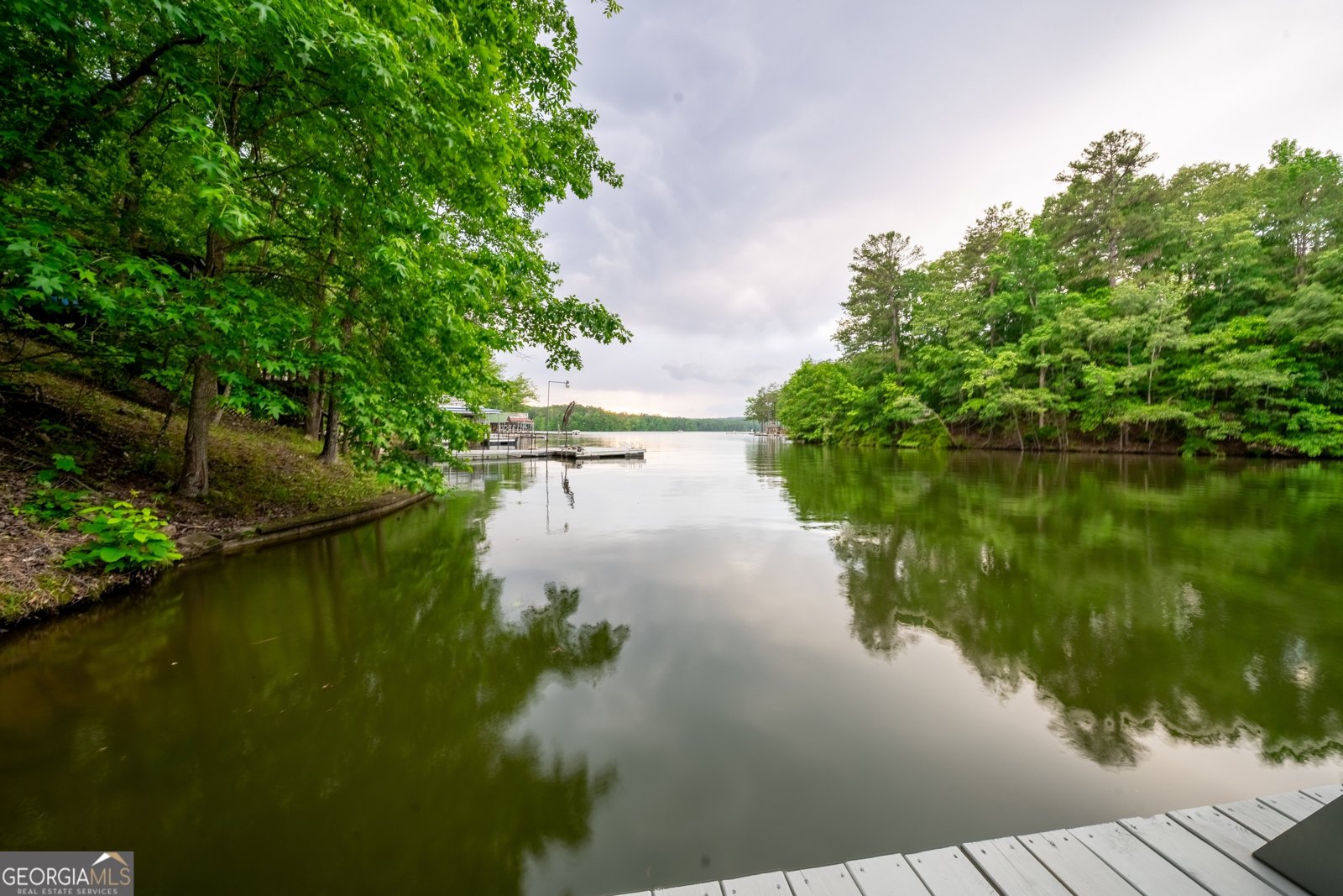 274 County Road 1291 Wedowee - 42