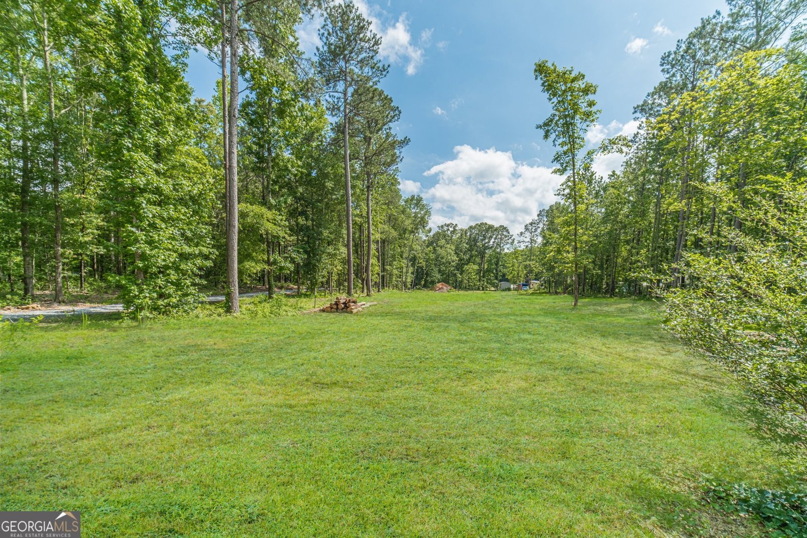 1623 Pratt Road Covington - 54
