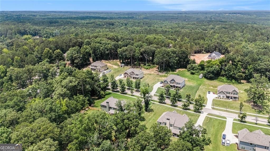 381 Homestead Circle Forsyth - 43