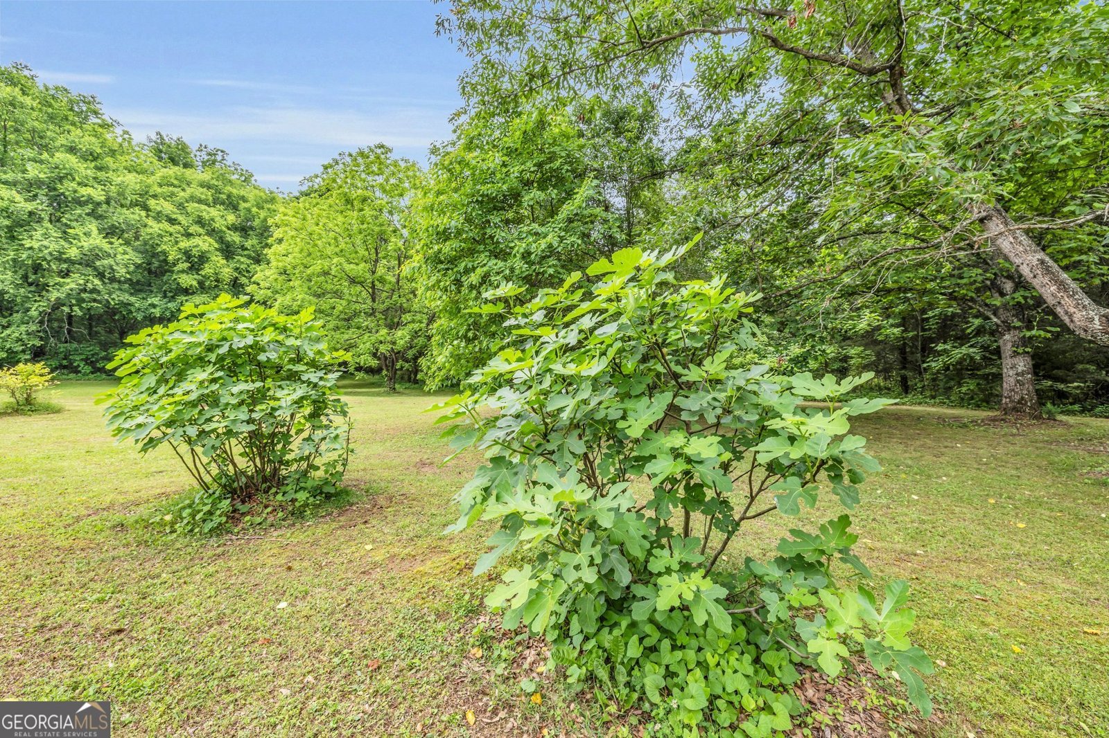 694 Meadow Drive Chickamauga - 73