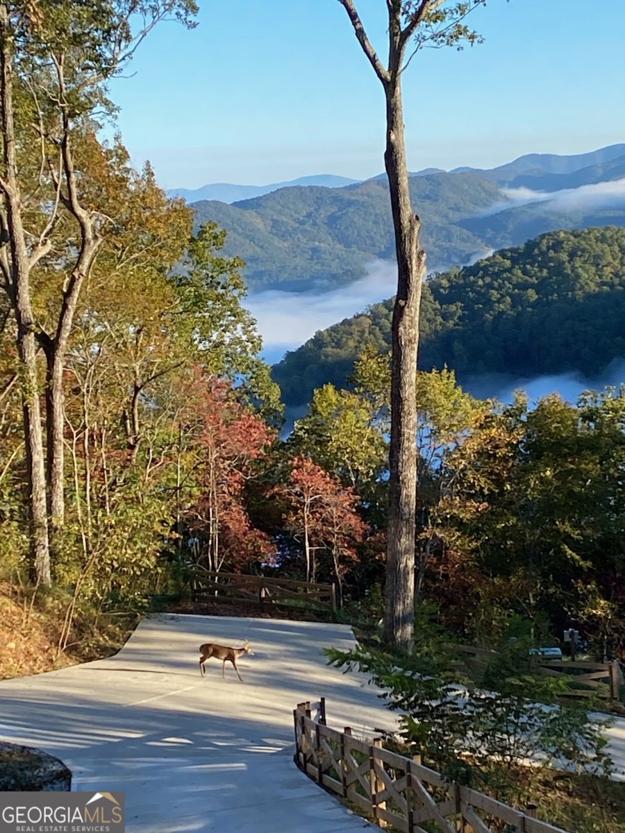 333 Favor Lane Rabun Gap - 14
