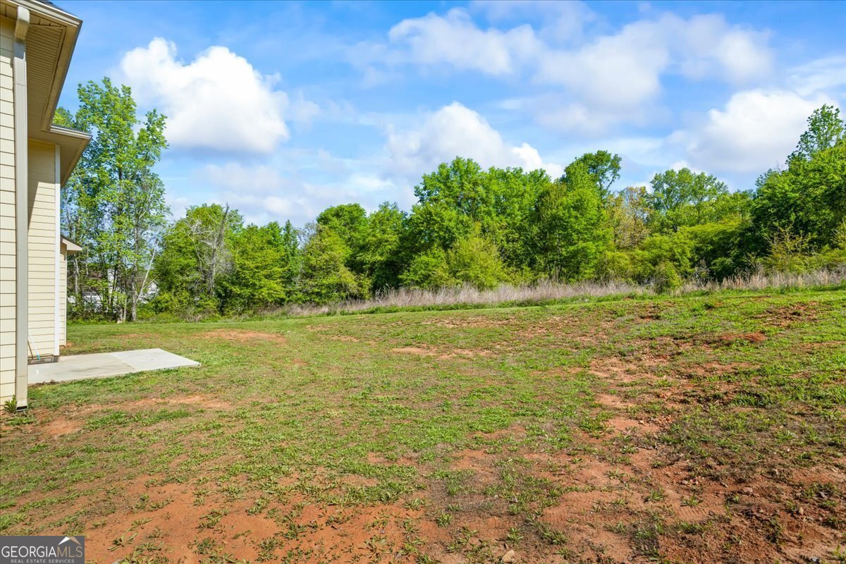 634 Gardner Road Stockbridge - 42
