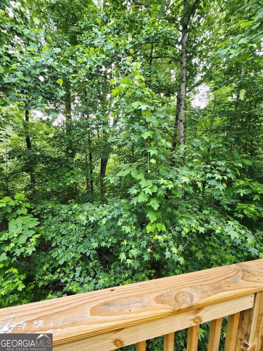 204 Twin Pines Court Dallas - 9