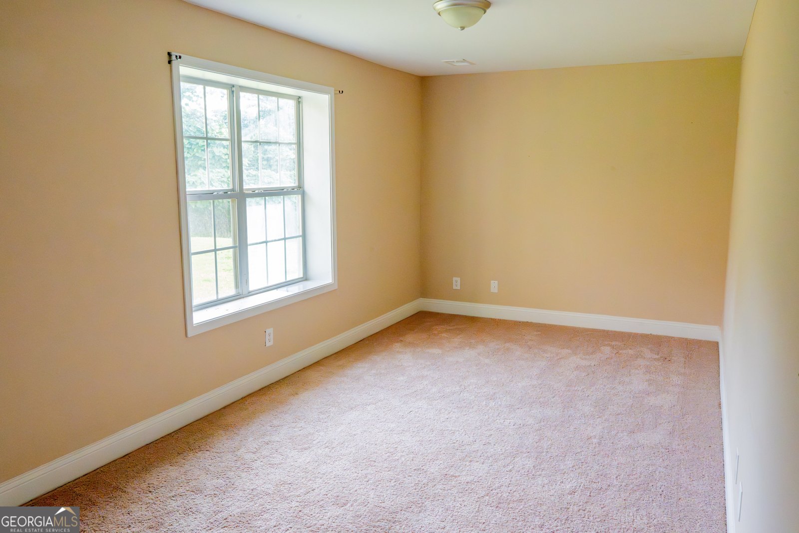 4527 Berline Drive Lithonia - 14