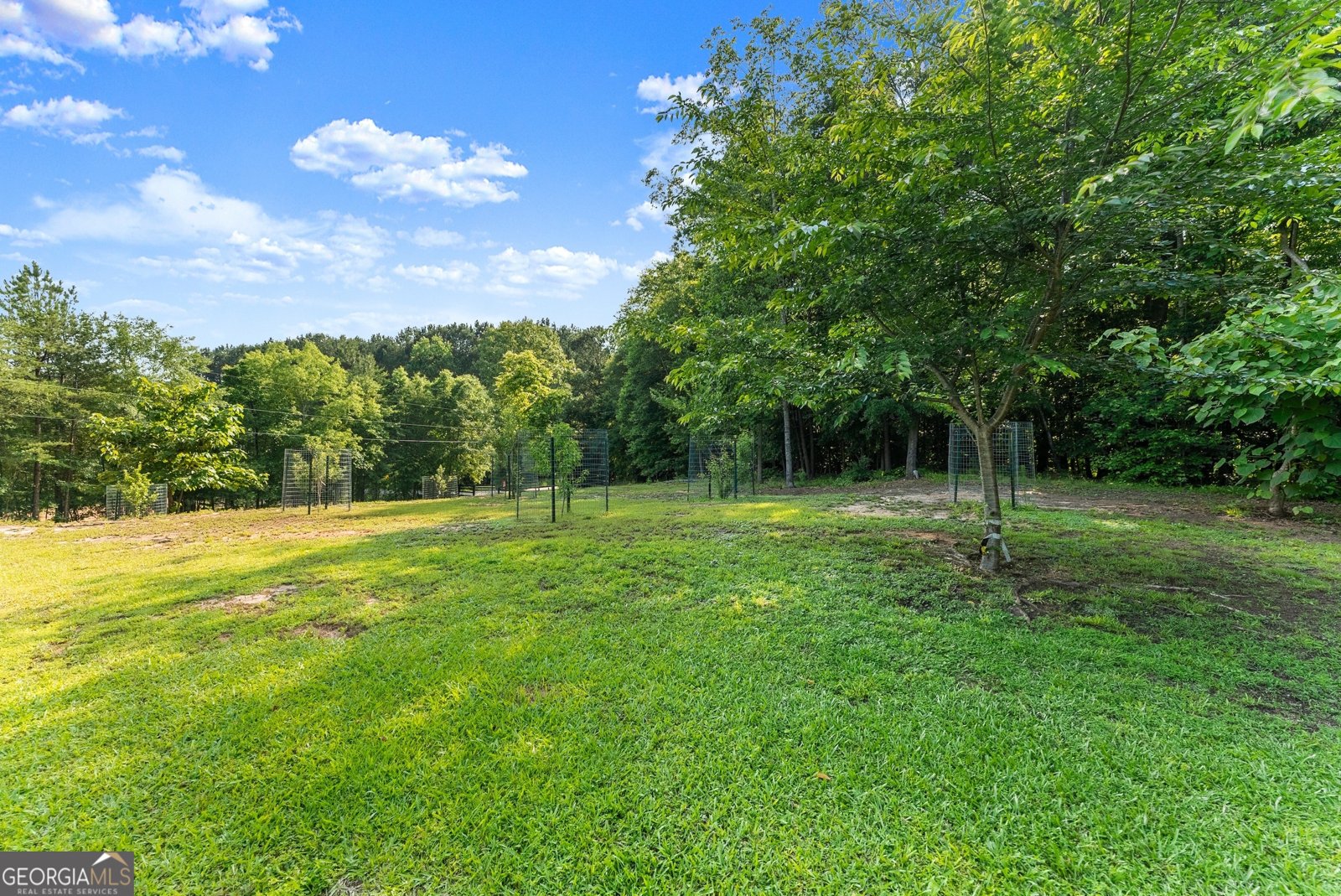 4951 Letha Road Gainesville - 43