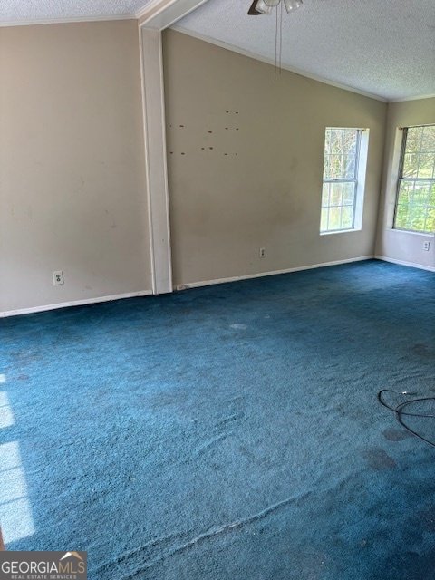 176 Springdale Road Jackson - 13