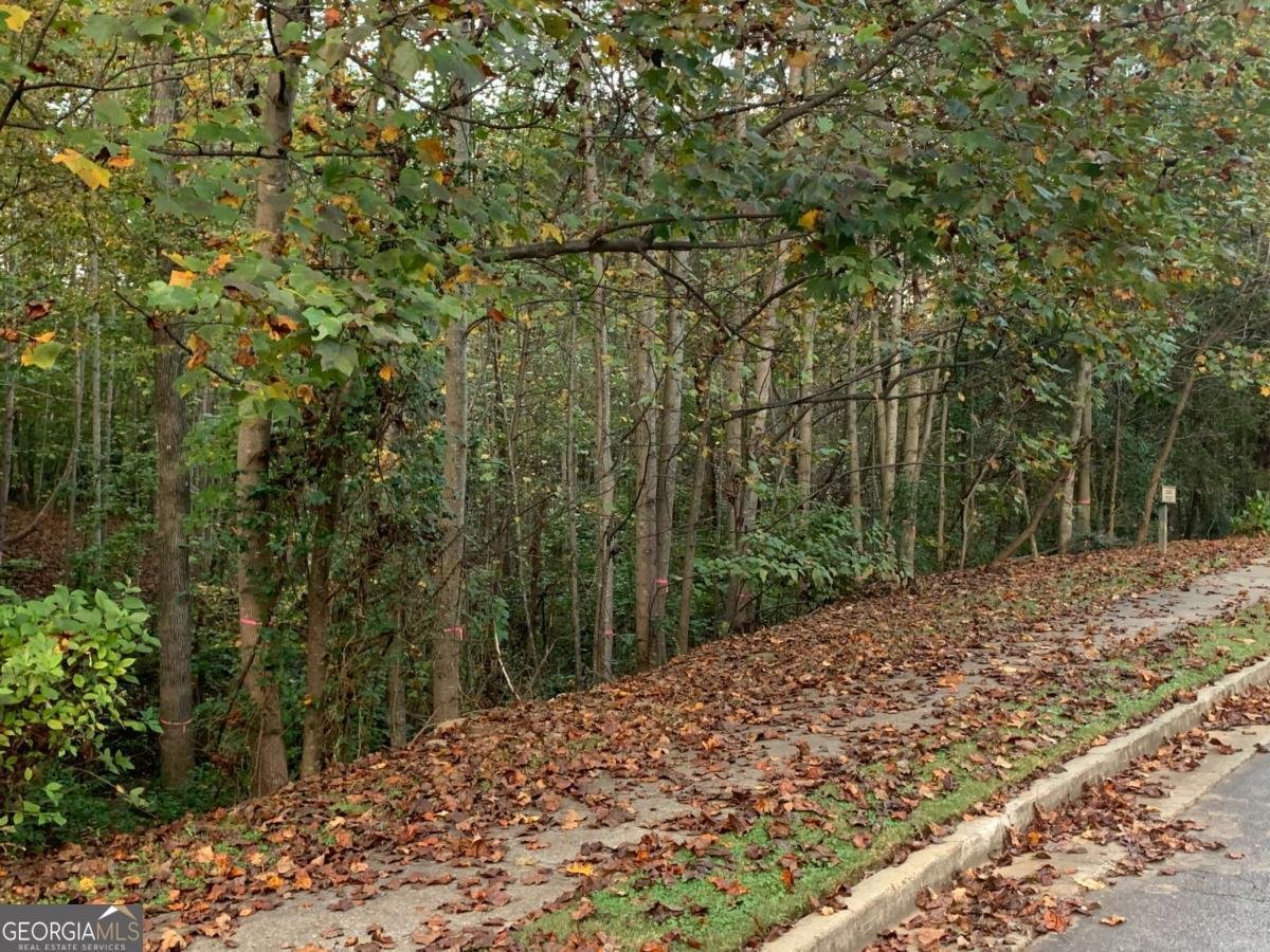 1303 COBBLEMILL Way Kennesaw - 2