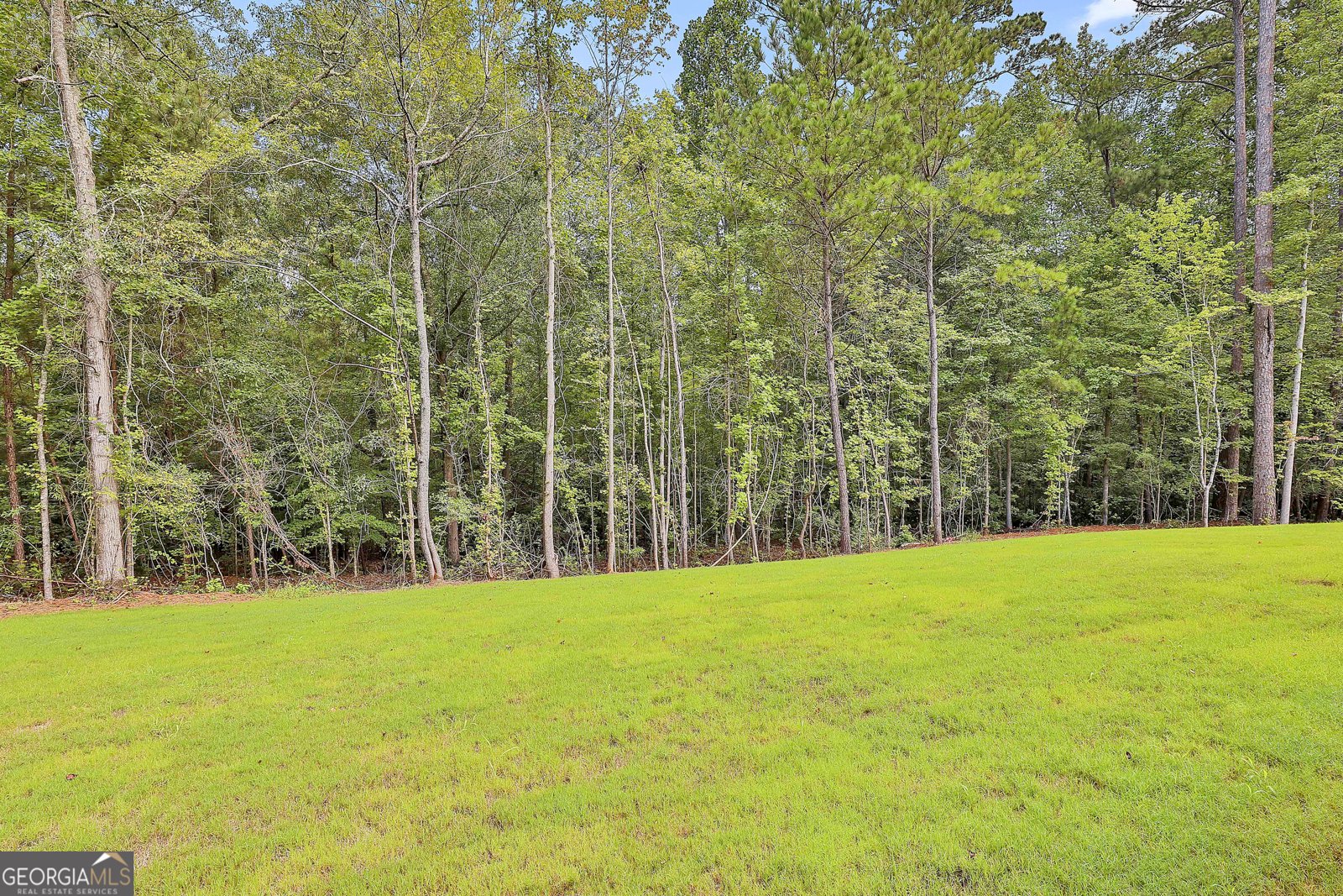 2460 N HWY 29 Newnan - 8