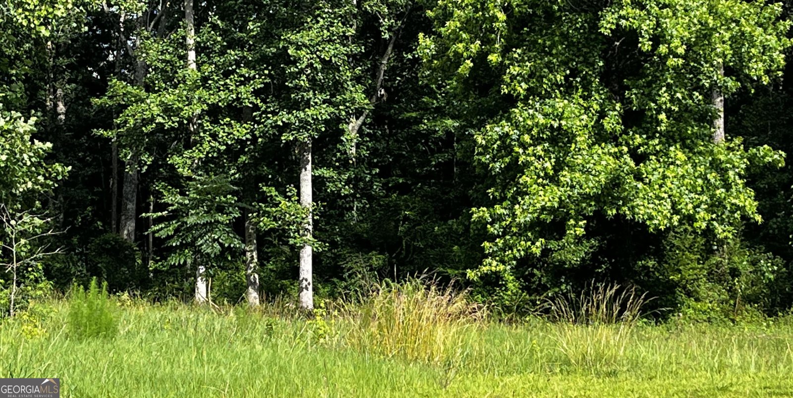 328 Whitaker Road Lagrange - 16
