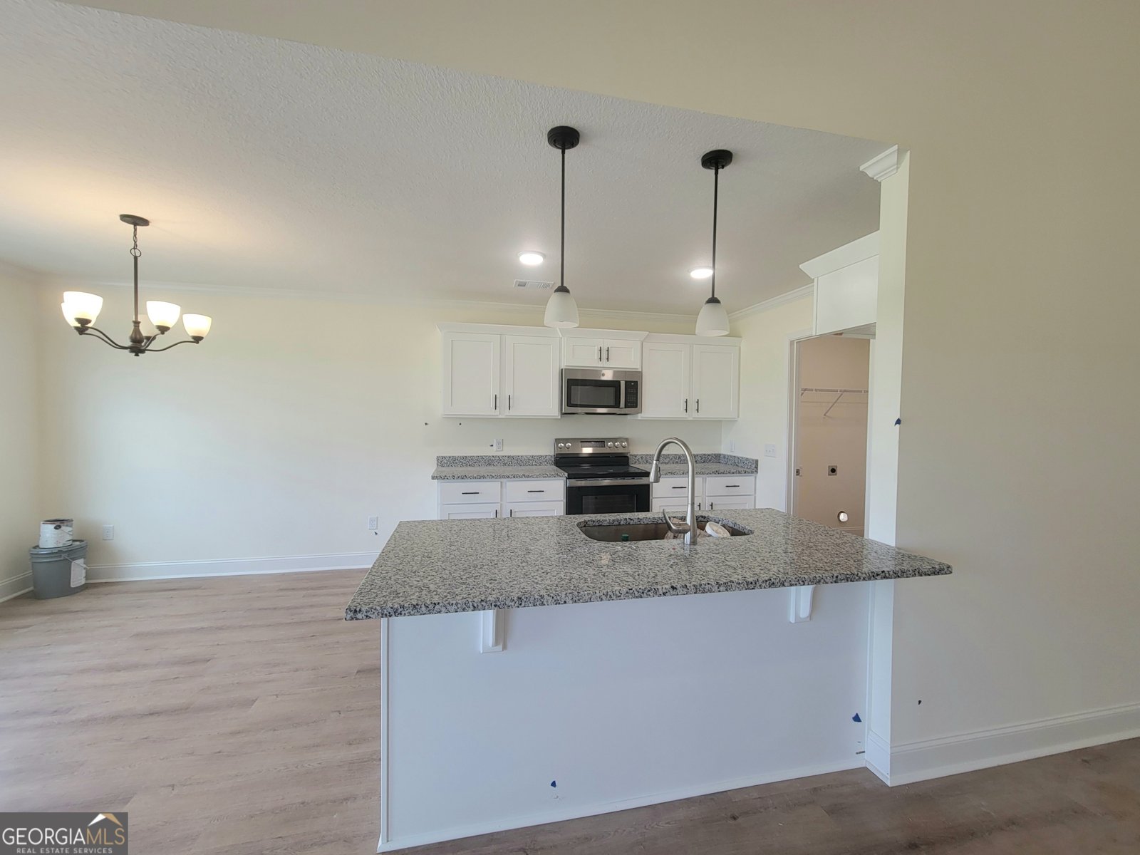 133 Enclave Court Statesboro - 10