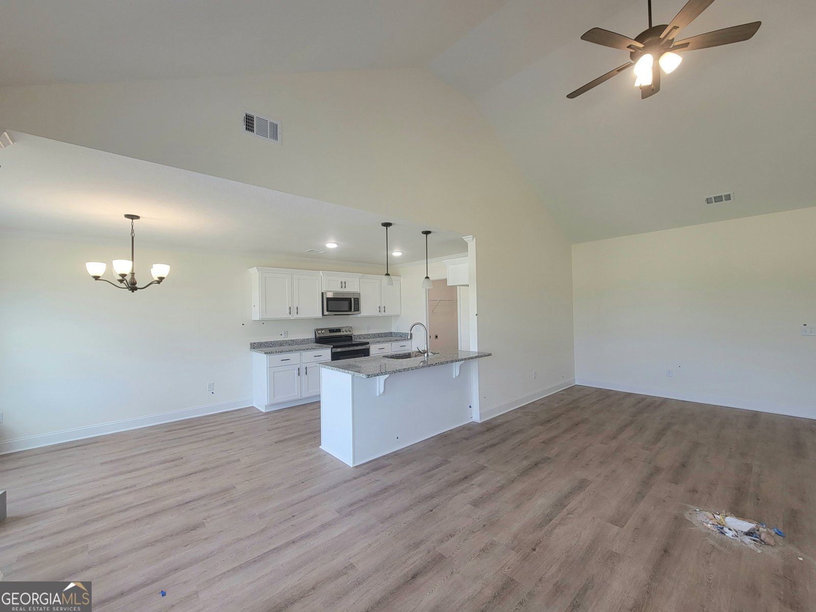 133 Enclave Court Statesboro - 8