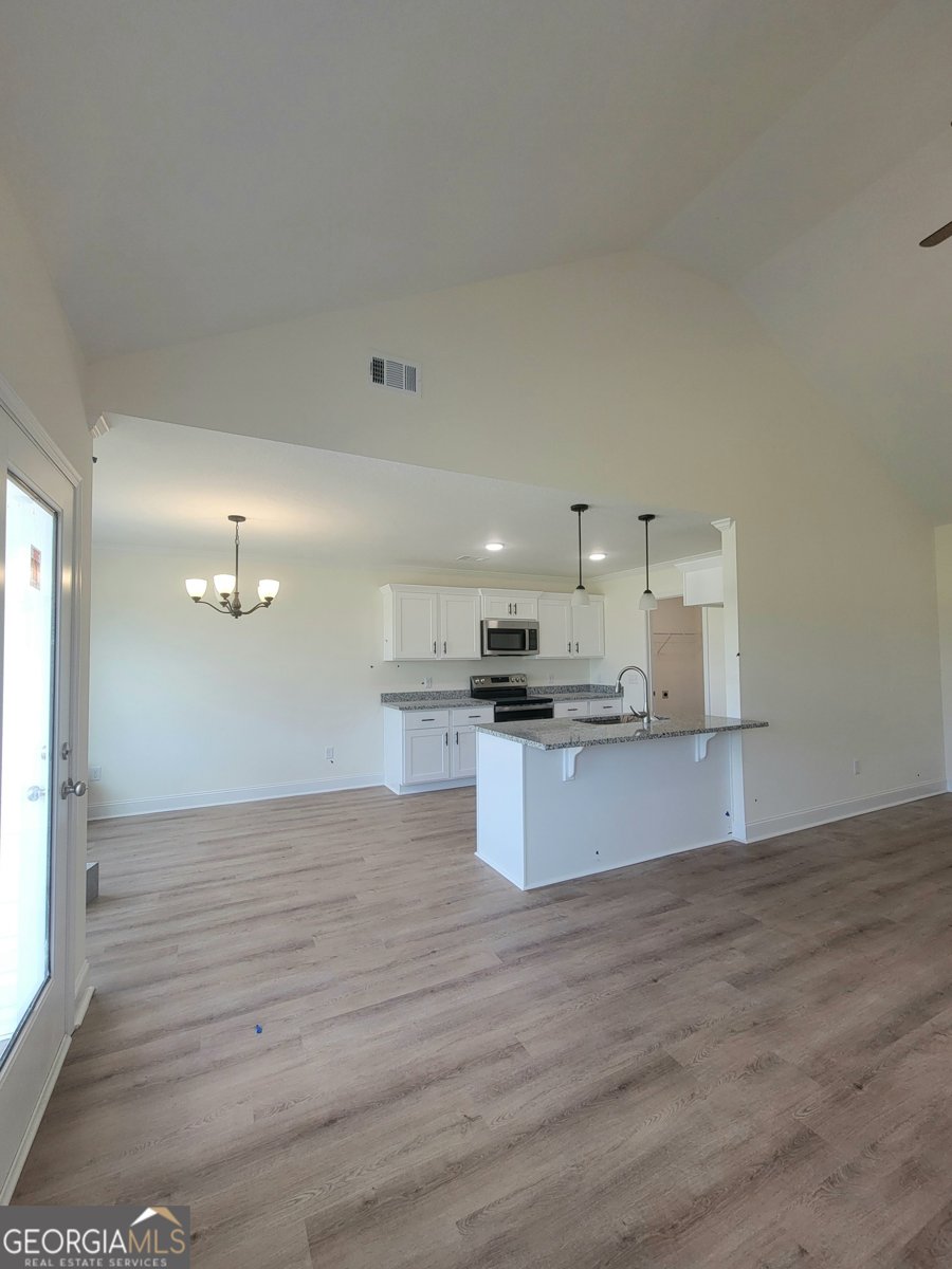 133 Enclave Court Statesboro - 9