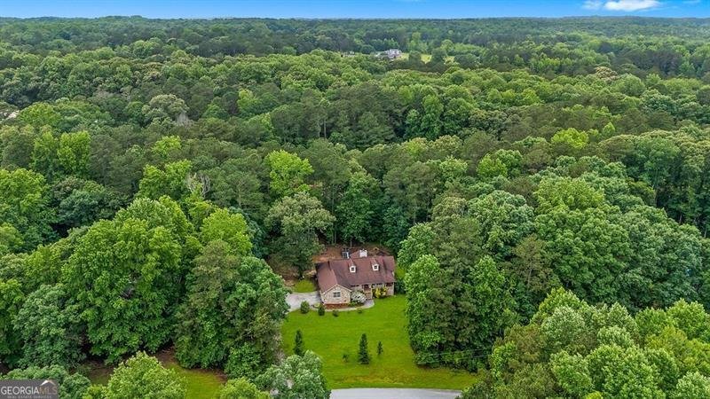 3488 Pebble Brook Lane Stockbridge - 3