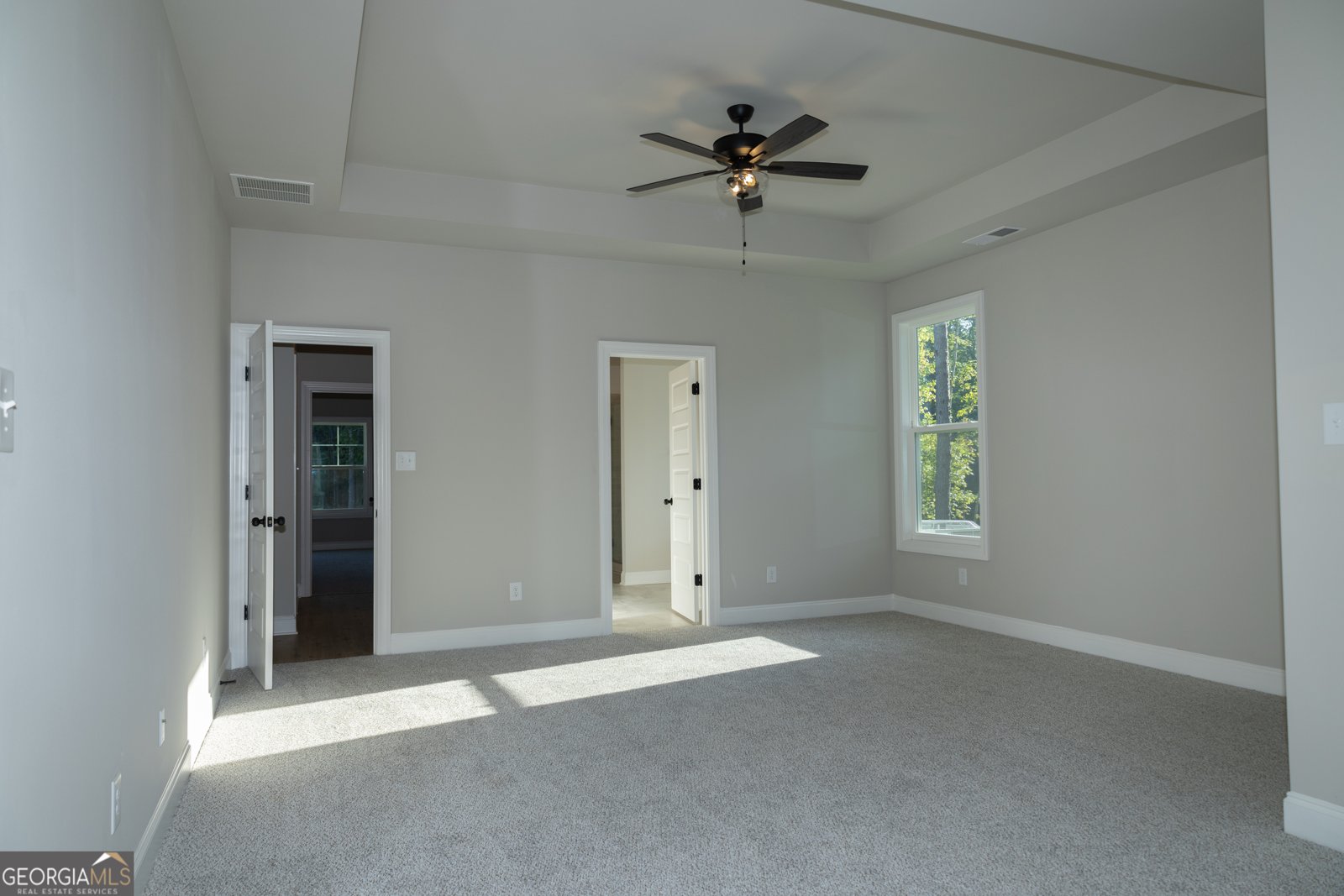 318 Wisteria Lane Williamson - 13