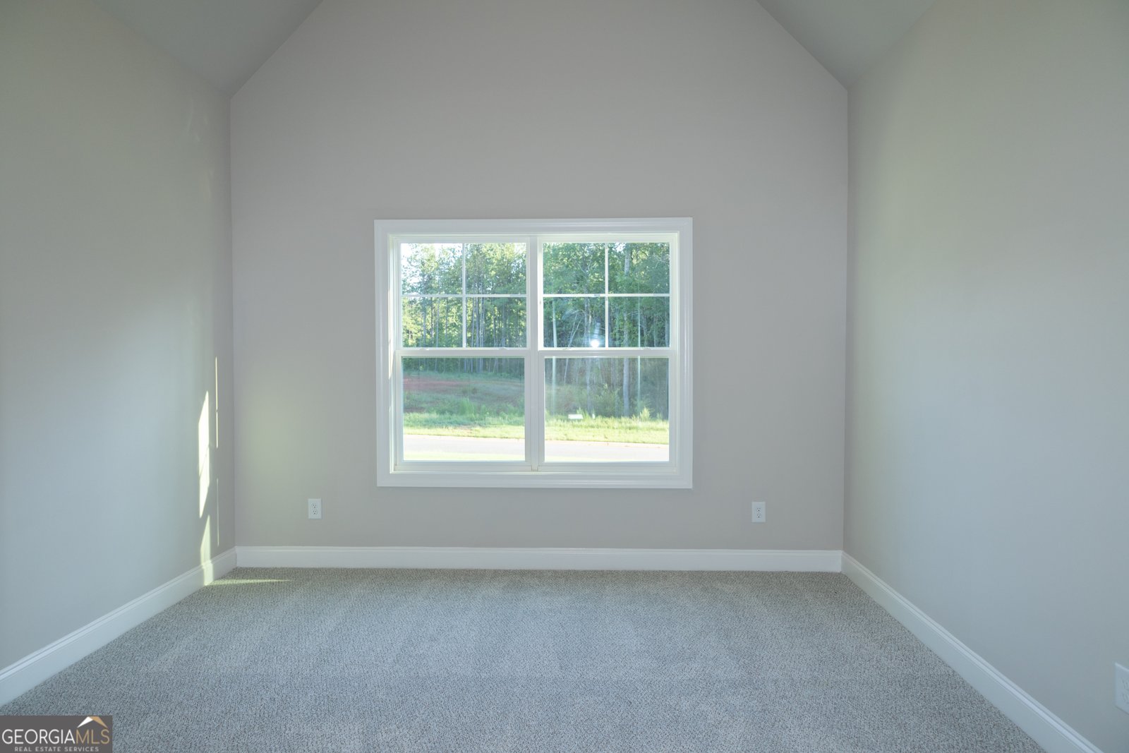 318 Wisteria Lane Williamson - 20
